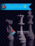 国际象棋大师第10版