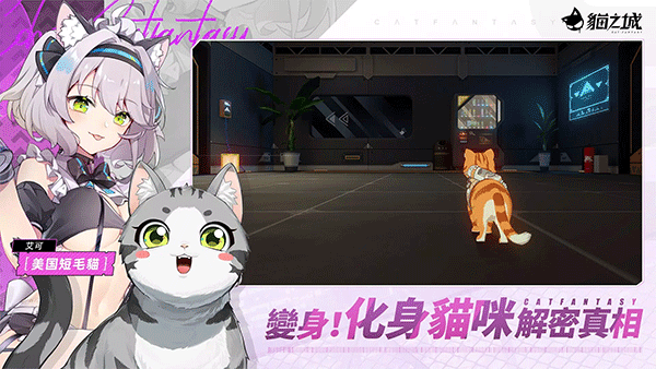 猫之城