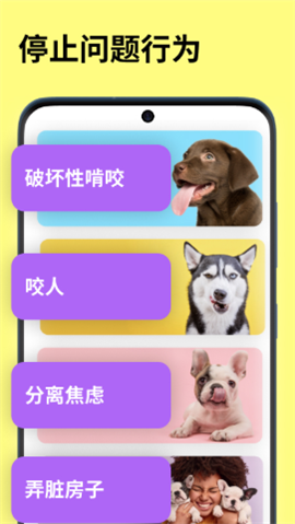 EveryDoggy