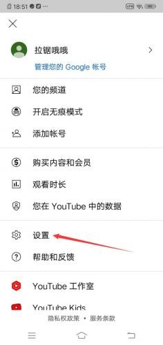 油管youtube官网版查看看限制内容