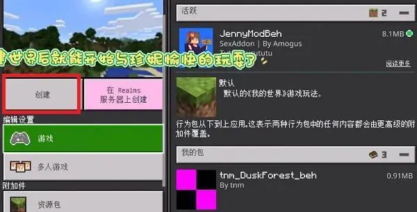 珍妮模组安装包