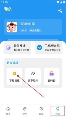 进入下载管理