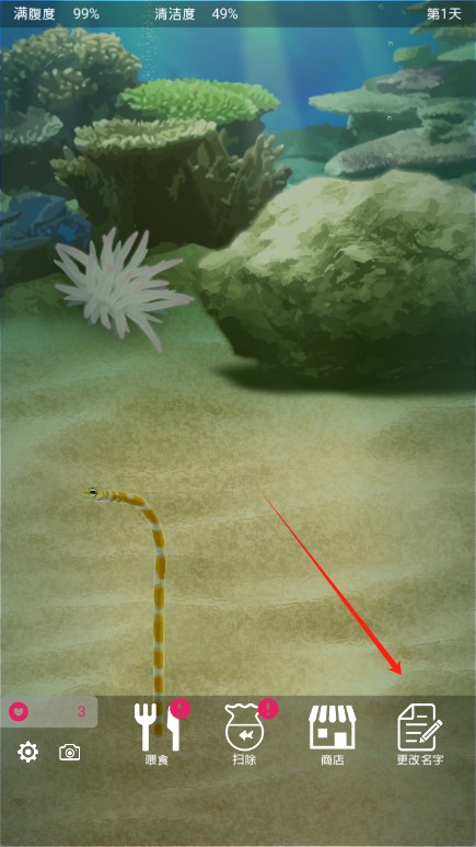 养育花园鳗的治愈