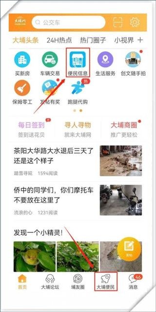 大埔网