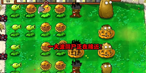 植物大战僵尸火影忍者版