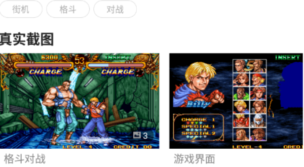 格斗双截龙